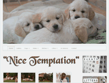 Tablet Screenshot of nicetemptation.cervia.com